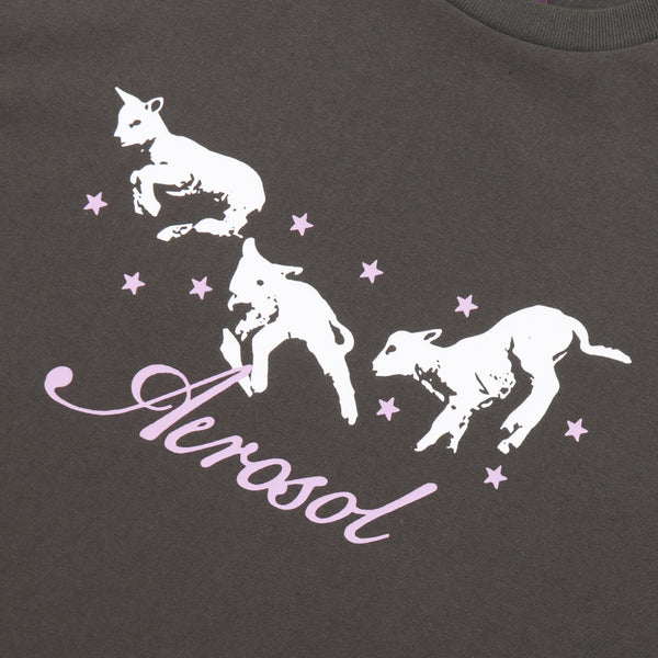 Aerosol Frolic T-Shirt / Grey