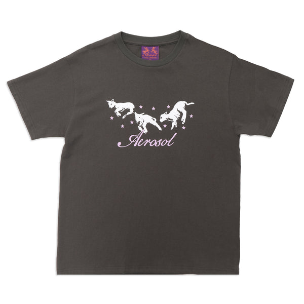 Aerosol Frolic T-Shirt / Grey