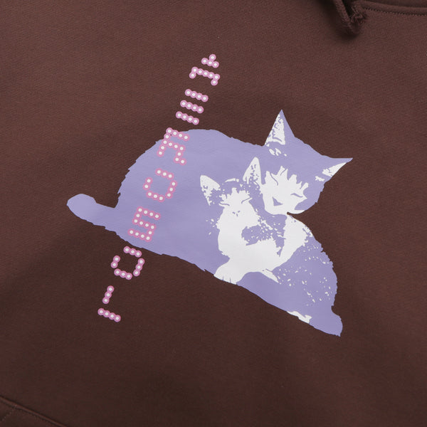 Aerosol Tibbles Hoodie / Brown