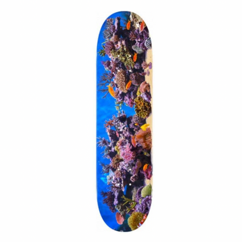 Mini Logo Fishtank Deck / Assorted Sizes