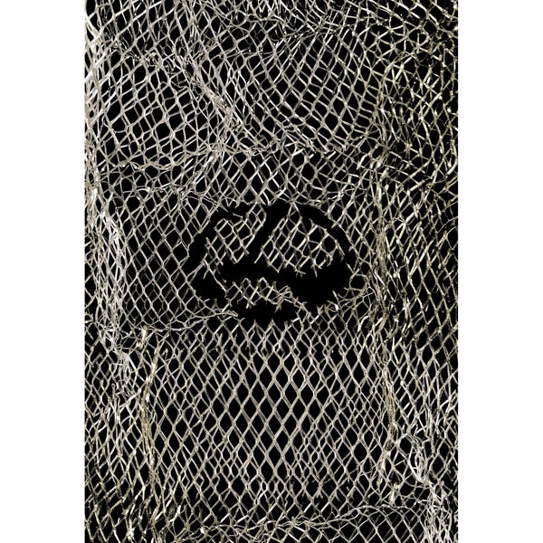 Limosine Trash Deck / Max Palmer / 8.6''