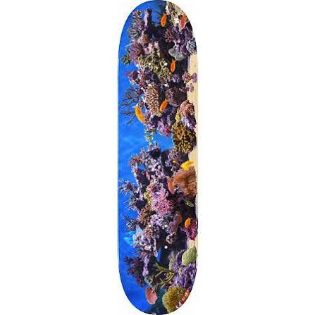 Mini Logo Fish Tank Deck / Assorted Sizes