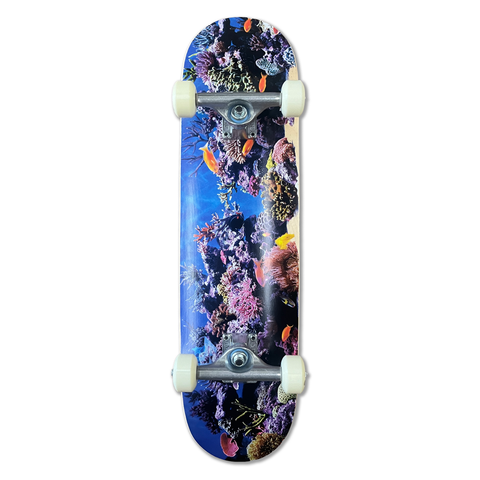 Mini Logo Fish Tank Complete / 7.5'' (Youth Mini)